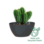 Bahia Plant Box - 35CM Anthracite