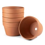 Deroma Terracotta "azalea" Pot 17CM. - 5PC Bulk Purchase. Deroma Azalea 17CM