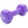 Weights 4KG Purple