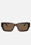 Daken - Dark Brown