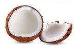Coconut Shisha Concentrate - 10ML
