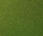 Moringa Oleifera Leaf 125G Powder