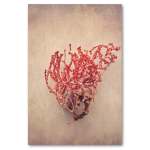 Gifts Of The Sea 3 Art Print - 100CM X 150CM No Frame Print Only
