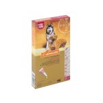 Dog - Large 10 - 25KG