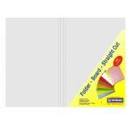 Manilla Folder 100 Donau White