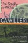 Shape of Water Paperback