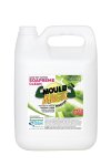 Mould Magic 5L