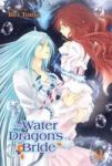 The Water Dragon& 39 S Bride Vol. 3 Paperback