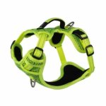 Rogz Utility Small Nitelife Explore Harness Yellow Reflective Waggs Pet Shop