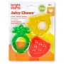 Bright Starts Multi-pack Teether - Fruit