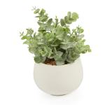 Coin Leaf White Pot