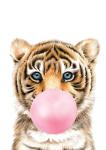 Bubble Gum Tiger Pink - Canvas Print - 600MM X 600MM