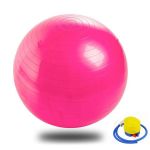 Yoga Exercise Ball With Pump