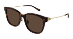 Gucci Sunglasses Womens In Havana Gold Brown GG1884SK-002 - Havana Onesize
