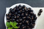 Blackcurrant Concentrate - 10ML