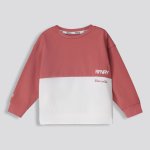 BOYS Sweat Top - 10 Rose