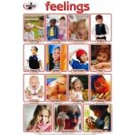 Chart Feelings