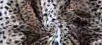 Fur - Animal Jacq
