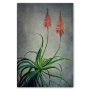 Aloes 3 Art Print - 100CM X 150CM / No Frame Print Only