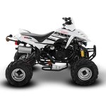 Gomoto Atv 150