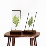 Velt Botanical Frame - Ferns - 9CM X 24CM Rectangle