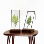 Velt Botanical Frame - Ferns - 9CM X 24CM Rectangle