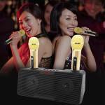 MINI Karaoke Speaker With 2 Microphones - Gold