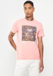 Levi's Floral Rocks Grp Tee - Quartz Pink