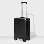Carlton Laptop Business Cabin Trolley