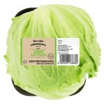 Pnp Crisp Lettuce Head
