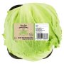 Pnp Crisp Lettuce Head