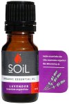 Organic Lavender Essential Oil 10ML