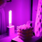 1PC Portable Book Light Rectangle Night Light For Bedroom 8LED Plug-in Night Light Portable Reading Light For Room Decor