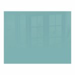 Parrot Pastel Turquoise Hob Splashback 898 X 700 X 6MM