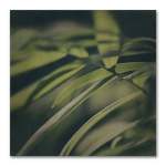 Dark Foliage Square 2 Art Print - 60 X 60CM No Frame Print Only