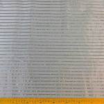 Fancy Organza Hologram L2361-1