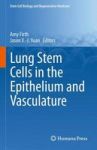 Lung Stem Cells In The Epithelium And Vasculature Hardcover 2015 Ed.