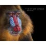 The Other World: Animal Portraits   Hardcover