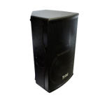 Active powered 12" 800W Speaker Monitor