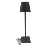 Bright Starts Bright Star Rechargeable LED Desk Lamp Black