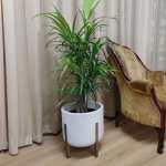 Hygge Cylinder Japi Planter White - Wide