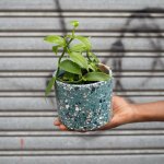 Vanilla Orchid - In In Nereida Terrazzo Planter