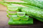 Aloe Concentrate - 10ML