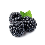 BlackBerry Concentate - 50ML