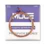 Acoustic Guitar Strings Set - Phosphor Bronze Light Gauge Rust Proof