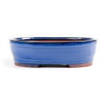 Assorted Glazed Bonsai Pots 10" - Blue Oval 25 X 20 X 7CM