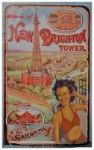 The History Of New Brighton Tower Hardcover
