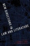 New Directions In Law And Literature Paperback