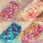 Hydrangea Preserved Dried Flowers High-quality Plant Material For Diy Crafts Decorations - 1 Box Eco-friendly Non-electric Feath