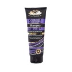 Shampoo - Silver